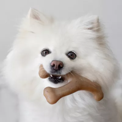 Product Benebone Wishbone Bacon Flavored