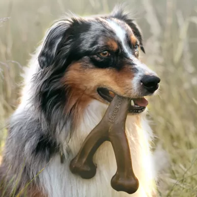 Product Benebone Wishbone Bacon Flavored