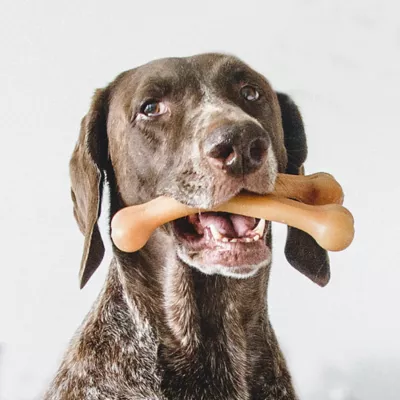 Product Benebone Wishbone Chicken Flavored Chew Dog Toy