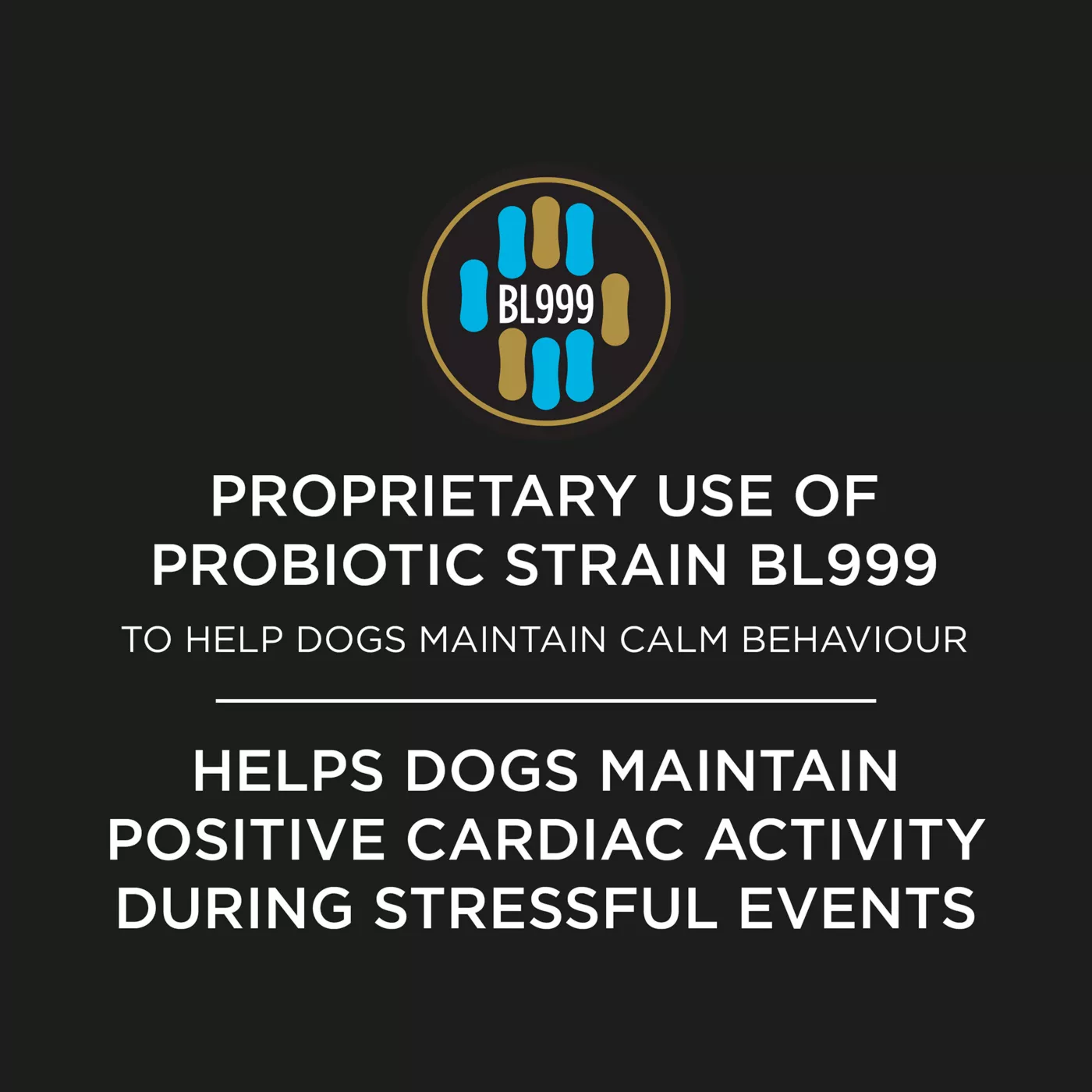 Calming probiotic for dogs hotsell