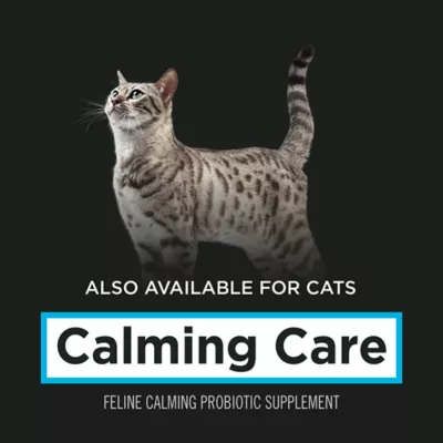 Purina calming care chewy hotsell