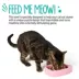 Whisker City® Pink Slow Feeder Cat Bowl image thumbnail 5