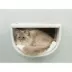 TRIXIE Eden Wall Mount Cat Tree Set 2 Condos with 3 Steps image thumbnail 6
