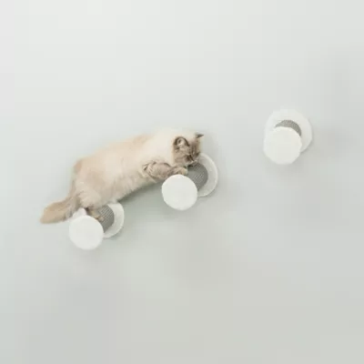 Product TRIXIE Wall Mount XXL Cat Climbing Steps 3PCS
