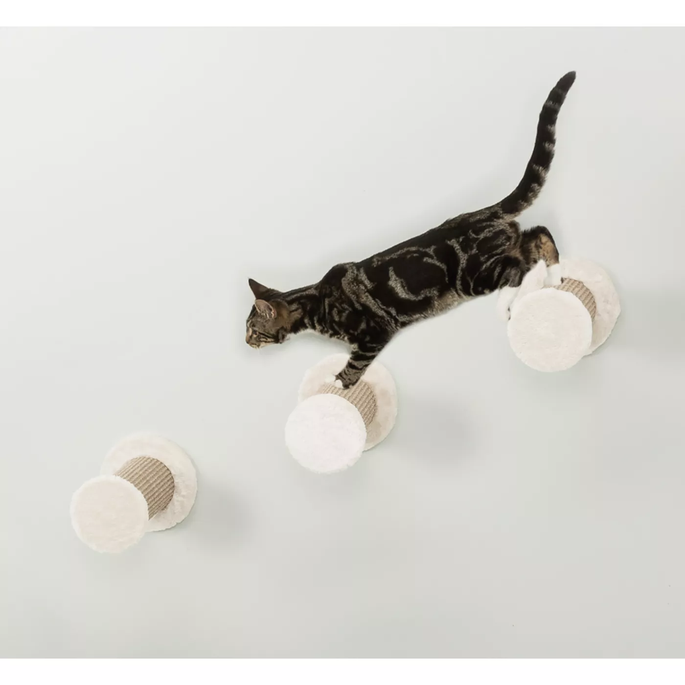 TRIXIE Wall Mount XXL Cat Climbing Steps 3PCS