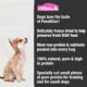 Product Mini-PureBites RAW Freeze Dried Trainers Dog Treats - Salmon