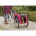TRIXIE Dog Bike Trailer for Small Dogs image thumbnail 4