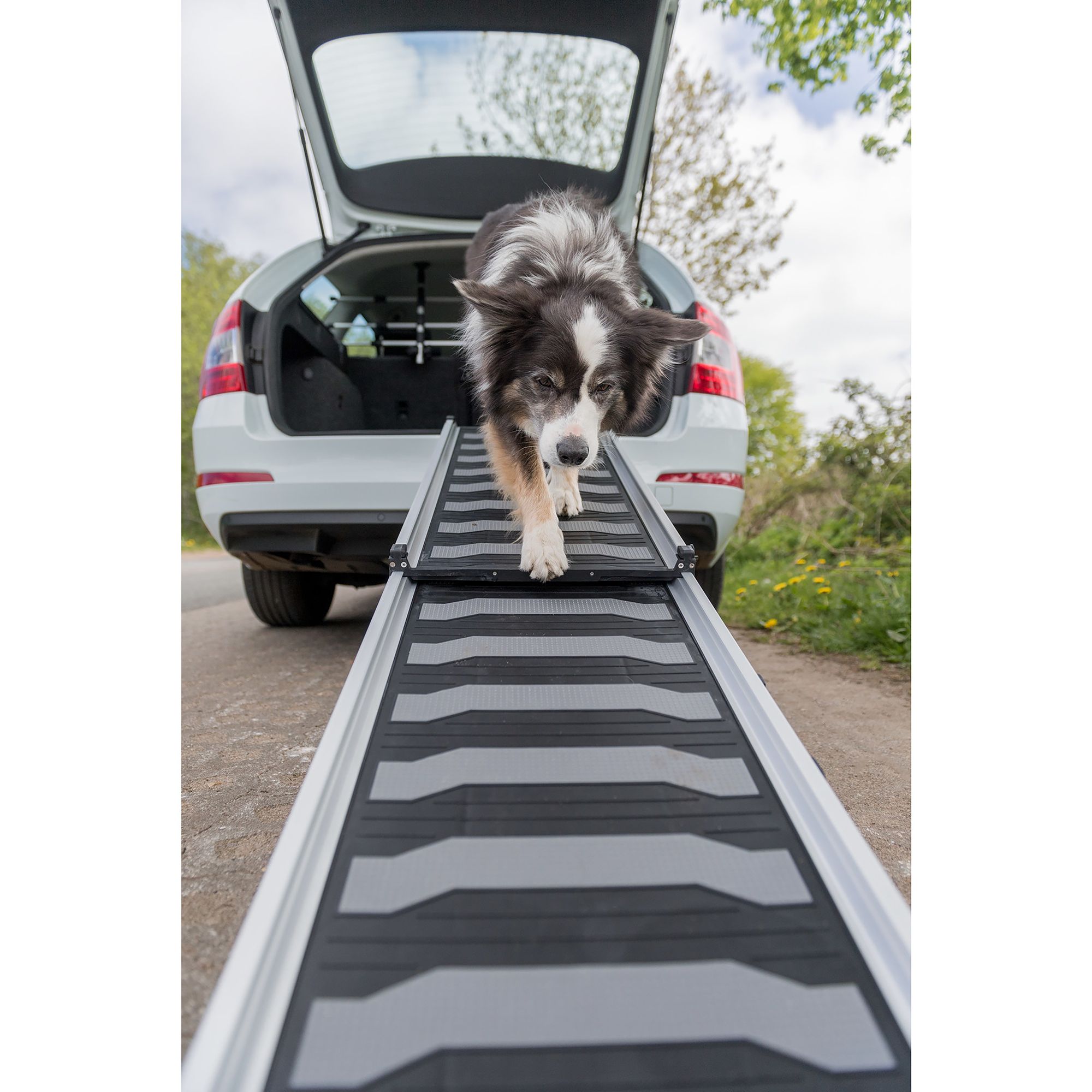 TRIXIE 62-Inch Folding Pet Ramp For Cars & SUVs - Non-Slip Dog Ramp Supports 200lbs