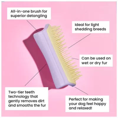 Product  Pet Teezer Small Detangle Brush