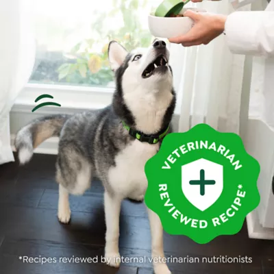 Product Greenies Smart Essentials Sensitive Digestion & Skin Adult Dry Dog Food Lamb & Brown Rice, 6 lb. Bag
