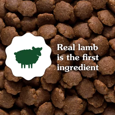 Product Greenies Smart Essentials Sensitive Digestion & Skin Adult Dry Dog Food Lamb & Brown Rice, 6 lb. Bag