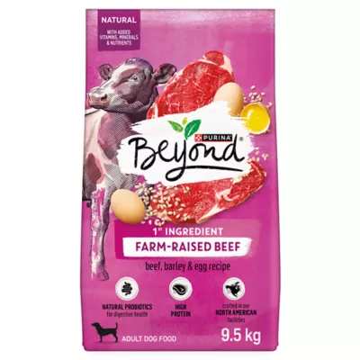 Product Purina Beyond Adult Dry Dog Food - Beef