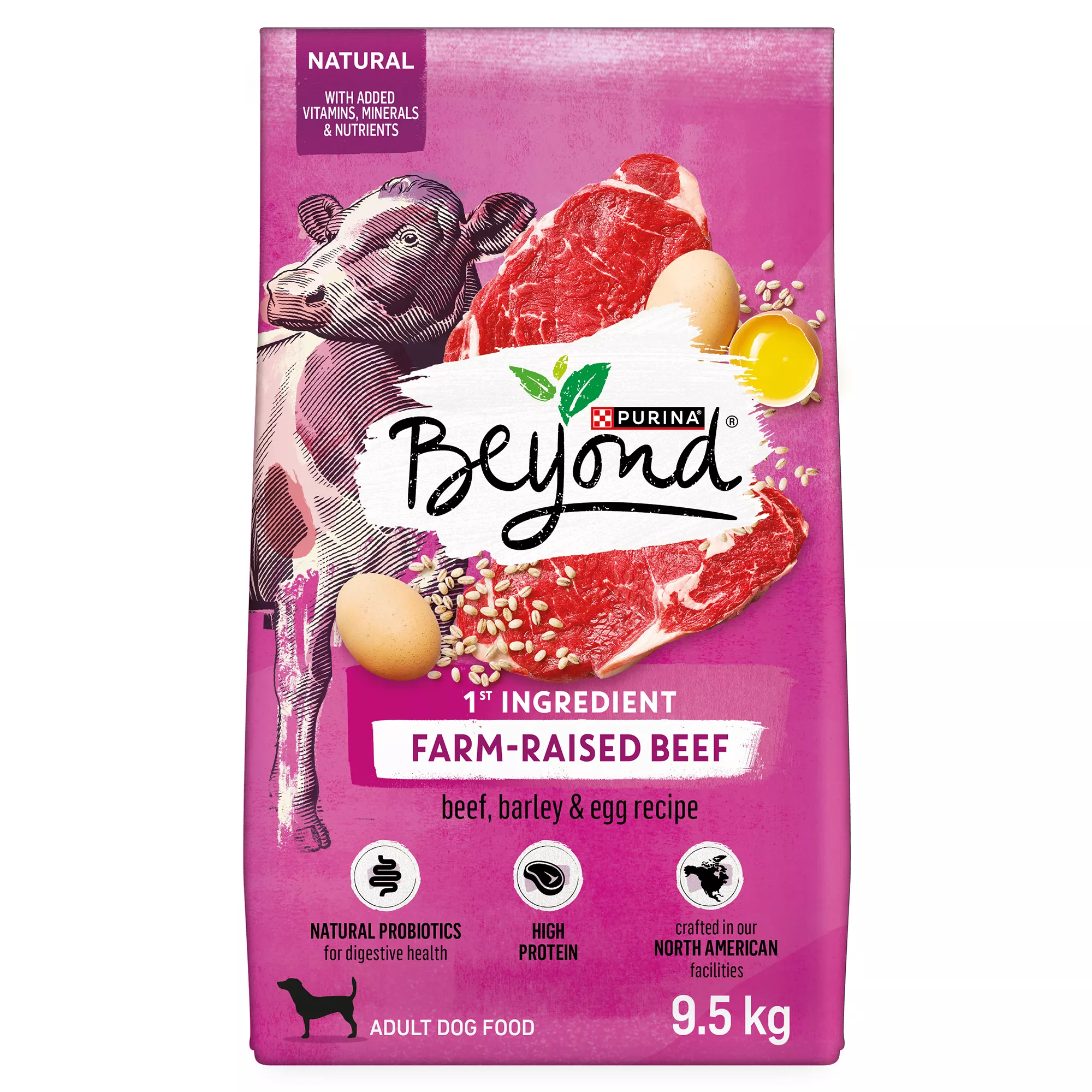 Purina Beyond Adult Dry Dog Food - Beef