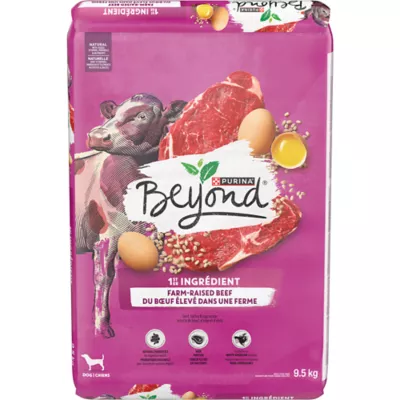 Product Purina Beyond Adult Dry Dog Food - Beef