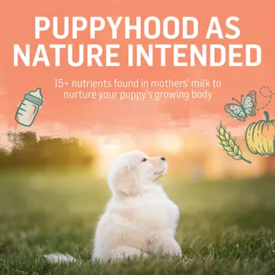 Product Purina Beyond Puppy Dry Food - Chicken