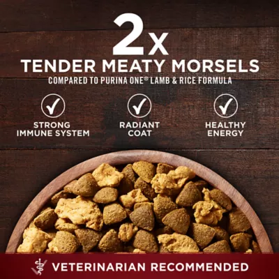 Purina healthy morsels hotsell