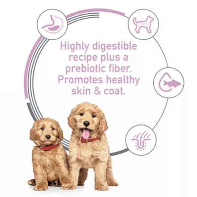 Product Hill's Science Diet Sensitive Stomach & Skin Puppy Dry Dog Food - Salmon & Brown Rice