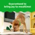 Greenies Smart Topper All Life Stages Wet Dog Meal Topper - Grain Free, Chicken, Beef, Potatoes image thumbnail 2