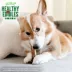 Nylabone® Healthy Edibles Meaty Center image thumbnail 6