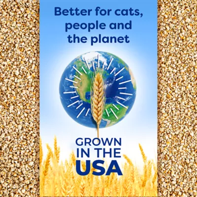 sWheat Scoop Clumping Multi-Cat Wheat Cat Litter - Natural - Image 7