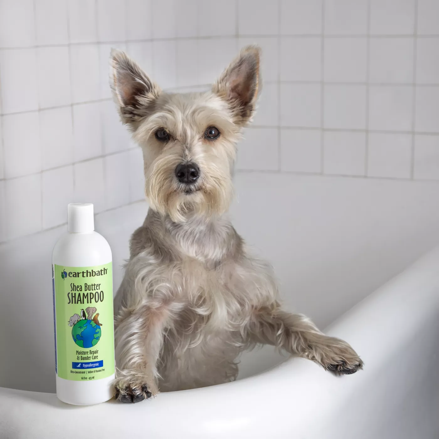 Dog lotion for dry skin petsmart best sale