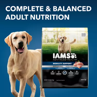 Iams senior dry dog food hotsell