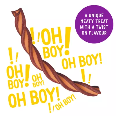 Product Beggin' Chew-Rific Dog Treat - Bacon & Cheese