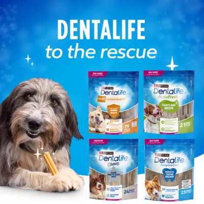 Product Purina DentaLife Chews Daily Oral Care Dog Treats