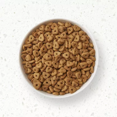 Product NUTRO ULTRA™ Senior Dry Dog Food - Chicken, Lamb, Salmon