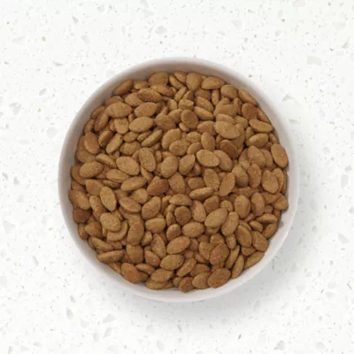 Product NUTRO ULTRA™ Large Breed Adult Dry Dog Food - Chicken, Lamb, Salmon