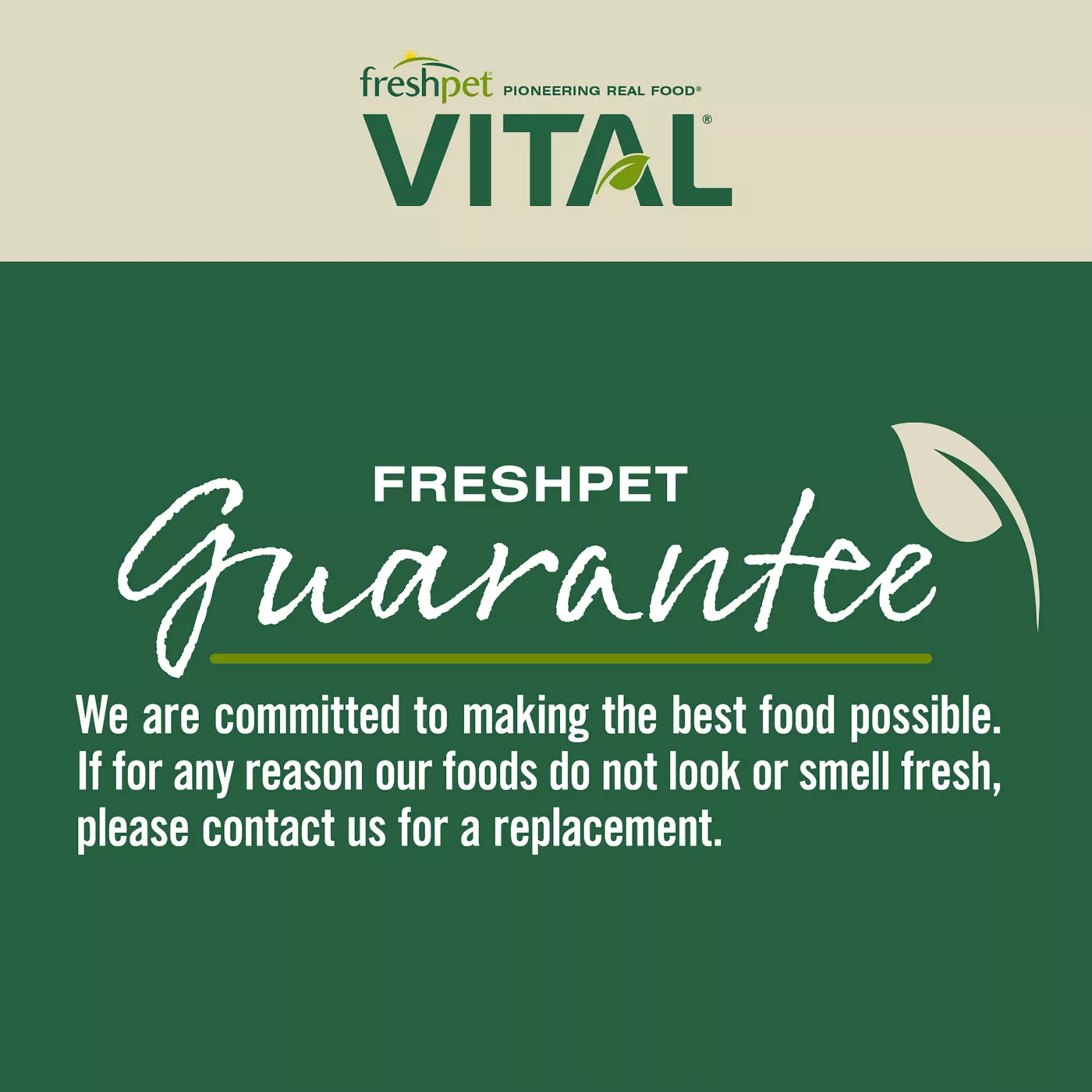 Freshpet vital salmon hotsell