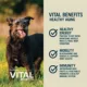 Product Freshpet Vital Benefits Healthy Aging Adult Dog Food - Chicken and Salmon Recipe