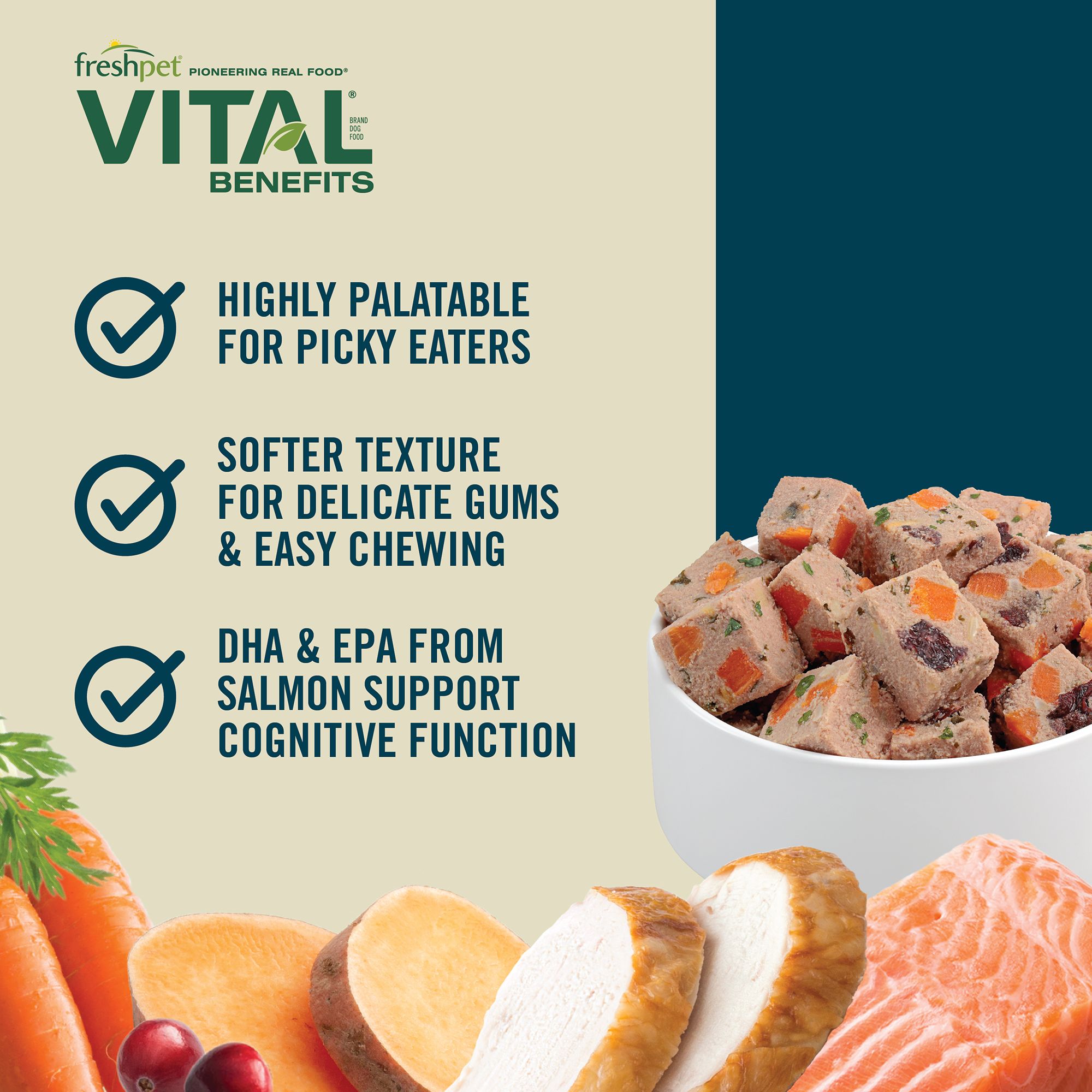 Freshpet Vital Benefits Healthy Aging Adult Dog Food Chicken and Salmon Recipe PetSmart in Tustin CA