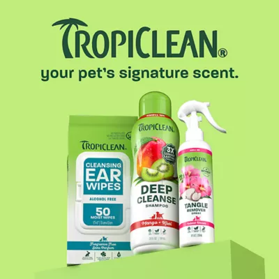 TropiClean® Mango & Kiwi 4-in-1 Shed Control Pet Shampoo - Image 8