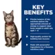 Product Hill's Science Diet Cat - Wet Food, Adult, Ocean Fish, 5.5 OZ