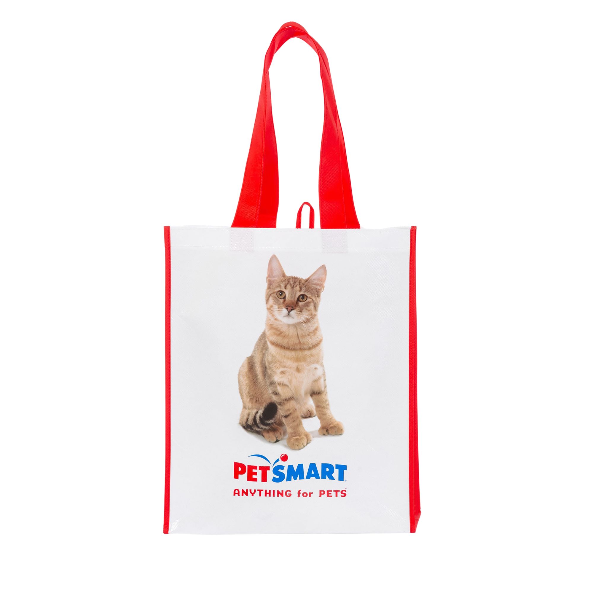 soft cat travel carrier