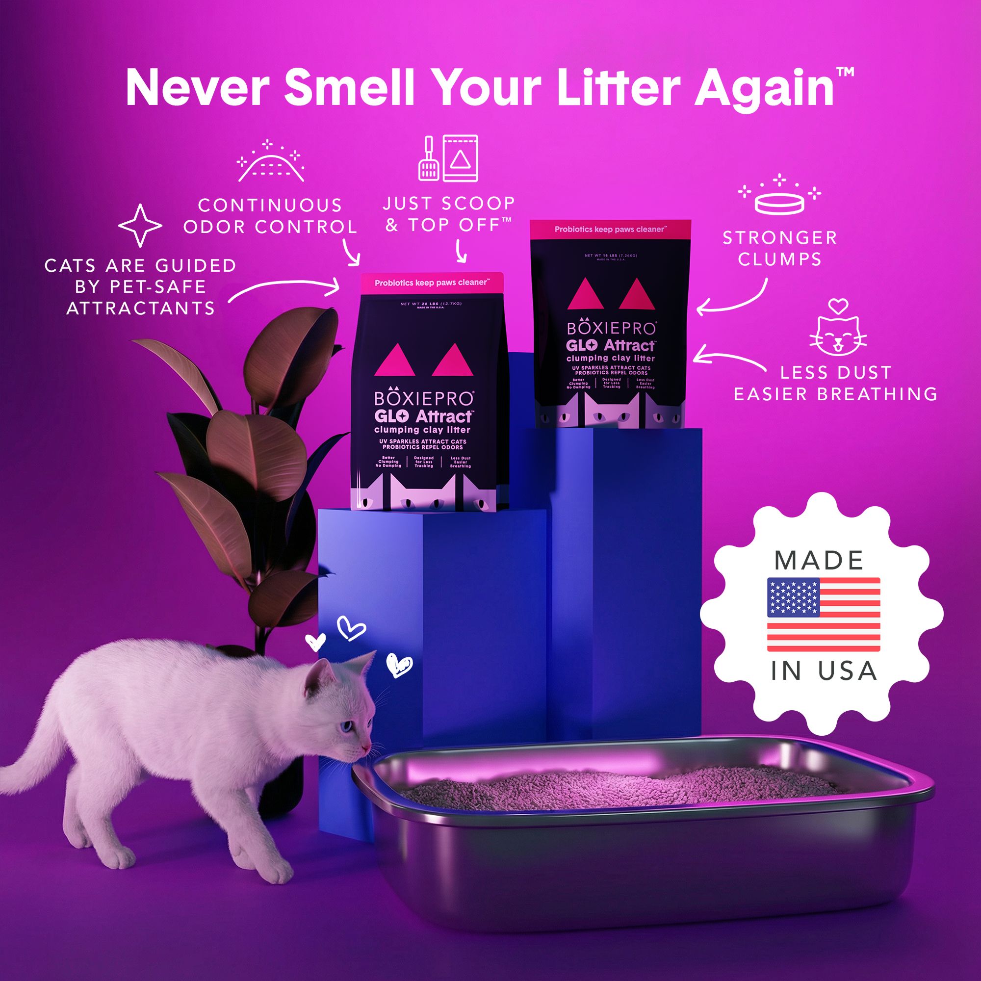 Boxie GLO Natural Attractions Cat Litter - Clumping Clay