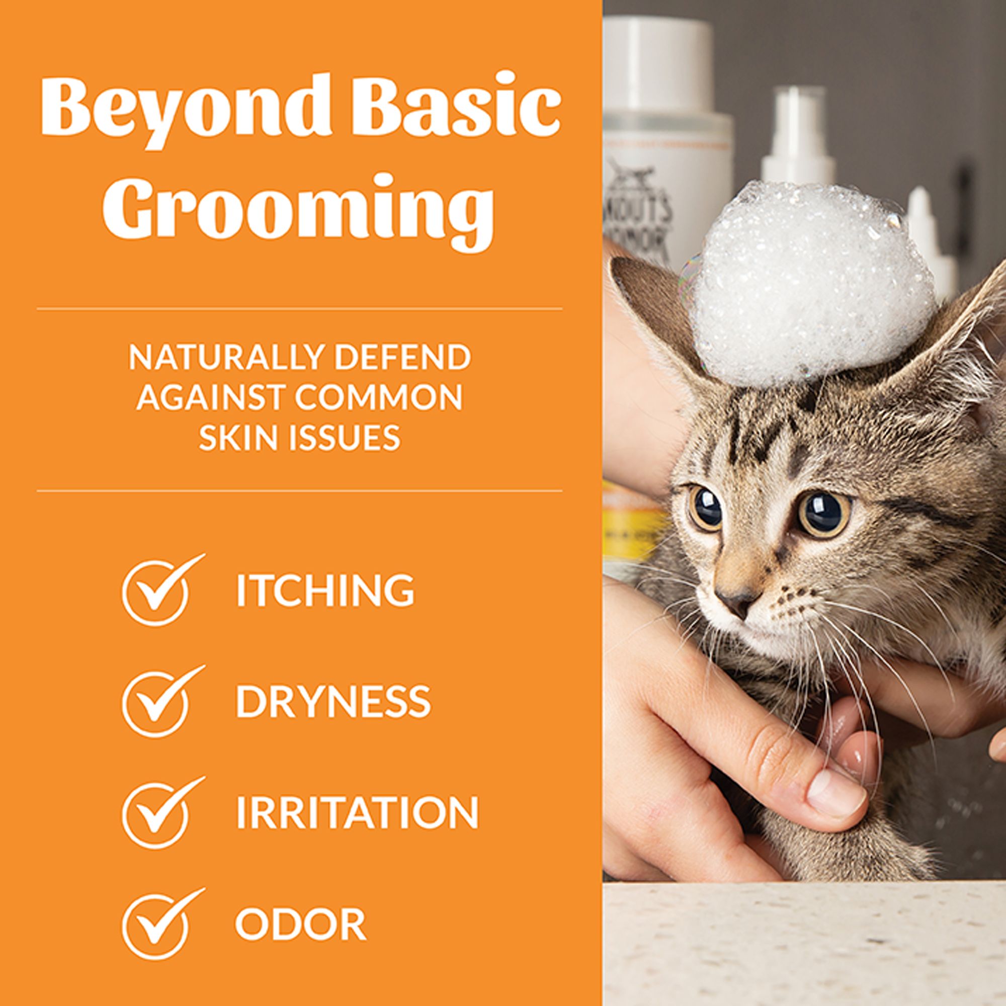 【timmy cat select】 レインボーアークオールインワンジェル Skout's Honor® Probiotic 2-in-1 Cat Shampoo & Conditioner