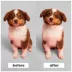 Pet Teezer Puppy Brush image thumbnail 3