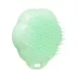 Pet Teezer Cat Brush image thumbnail 1
