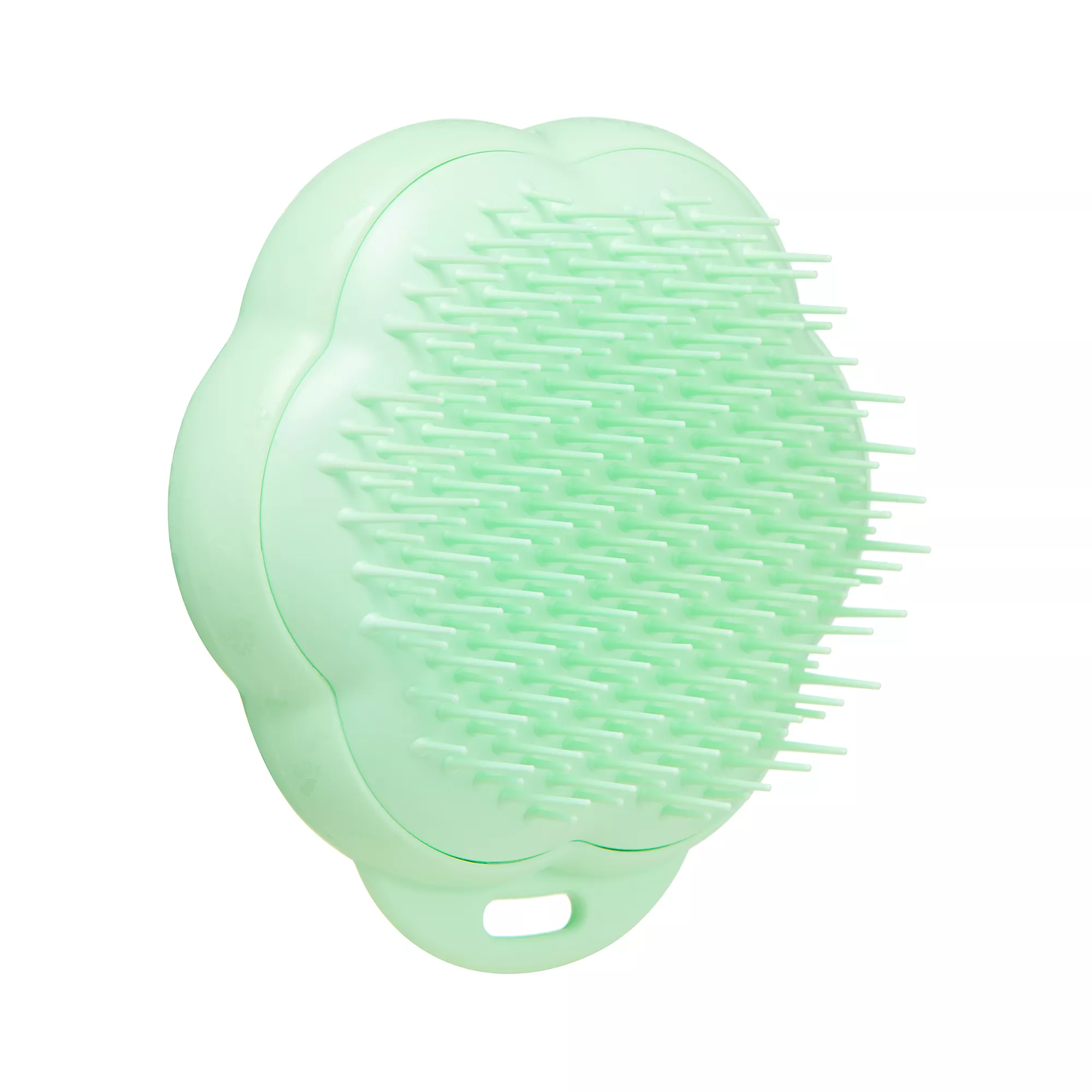 Pet Teezer Cat Brush