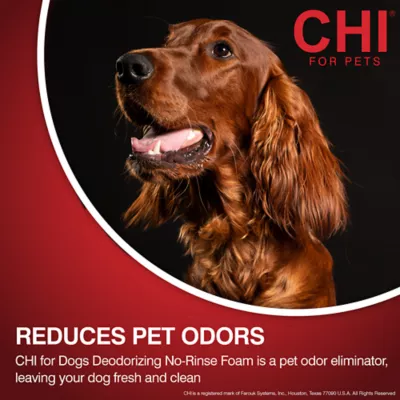 Product CHI® for Dogs Deodorizing No-Rinse Foam