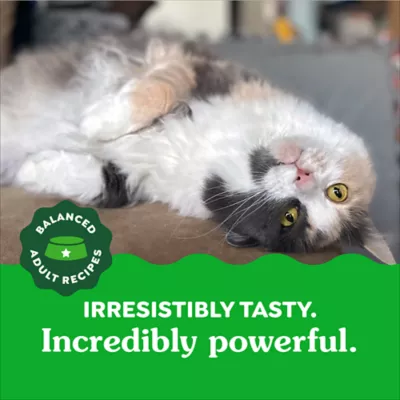Greenies Feline Oven Roasted Dental Adult Cat Treats - Chicken - Image 2
