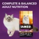 Product IAMS Advanced Health Adult Dry Cat Food - Turkey & Chicken