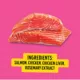 Product Bonkers Purr Pops Lickable Cat Treats - Lip Smackin' Salmon