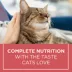 Purina Cat Chow Complete Nutrition Adult Cat Food - Salmon image thumbnail 6