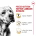 Royal Canin Breed Health Nutrition Labrador Retriever Adult Dry Dog Food image thumbnail 3