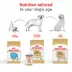 Royal Canin Breed Health Nutrition Labrador Retriever Adult Dry Dog Food image thumbnail 7