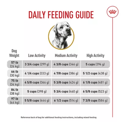 Royal Canin Breed Health Nutrition Labrador Retriever Adult Dry Dog Food - Image 10