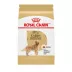 Royal Canin Breed Health Nutrition Golden Retriever Adult Dry Dog Food image thumbnail 1